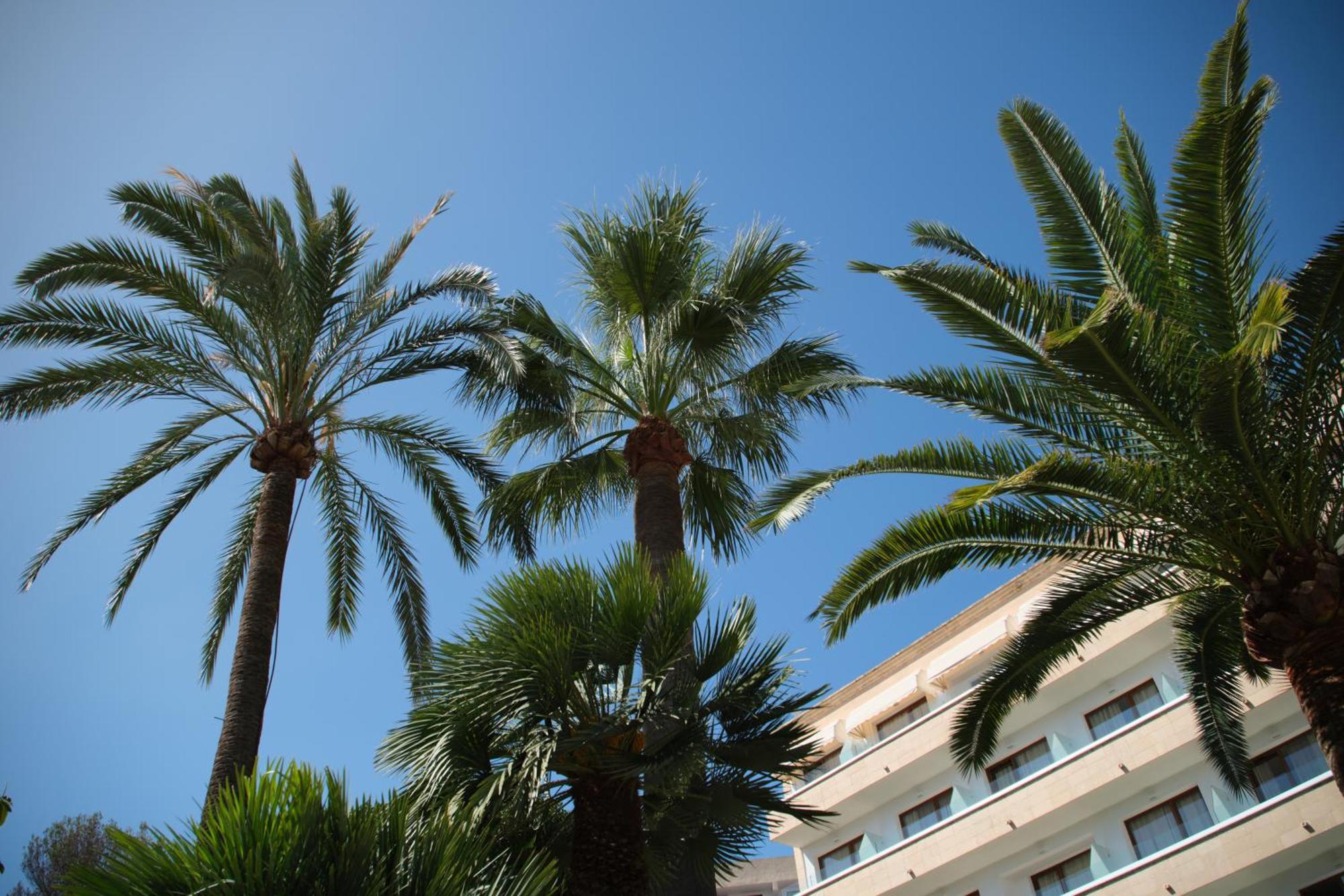 Hotel Son Caliu Spa Oasis Palma Nova  Luaran gambar